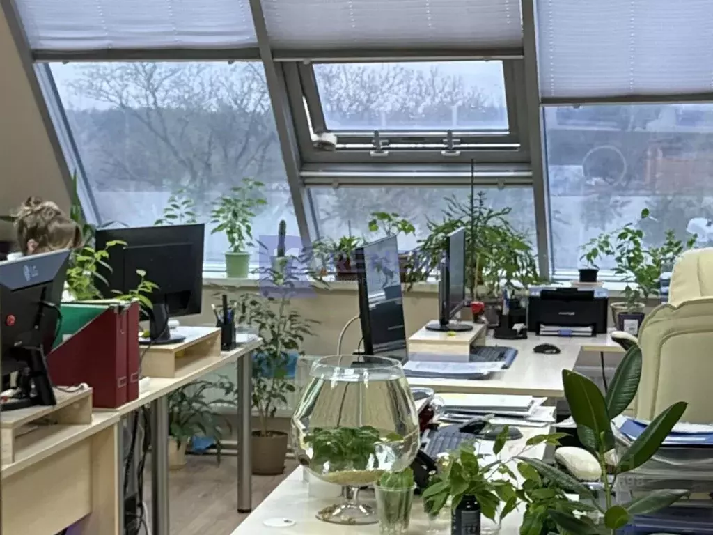 Офис в Москва Краснобогатырская ул., 13 (30 м) - Фото 2