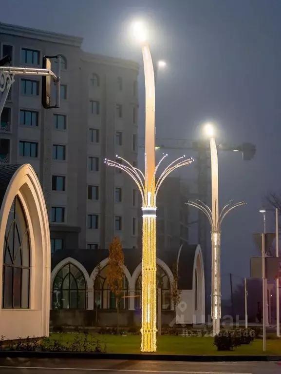 Помещение свободного назначения в Чеченская республика, Грозный просп. ... - Фото 1