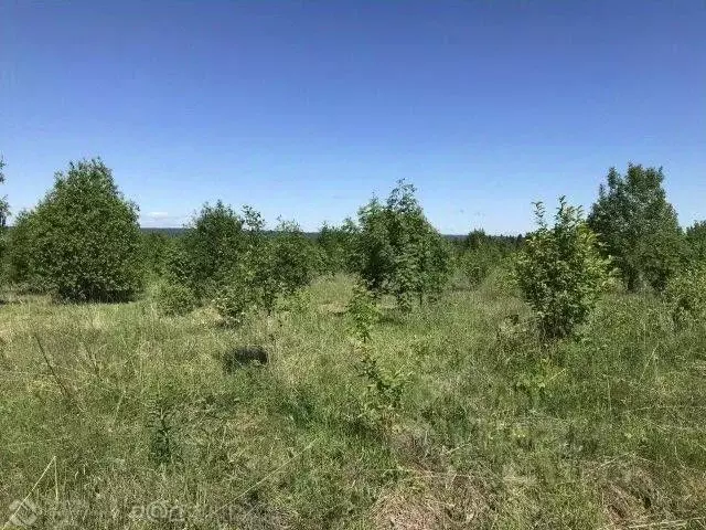 Участок в Пермский край, Добрянский муниципальный округ, д. Городище  ... - Фото 0