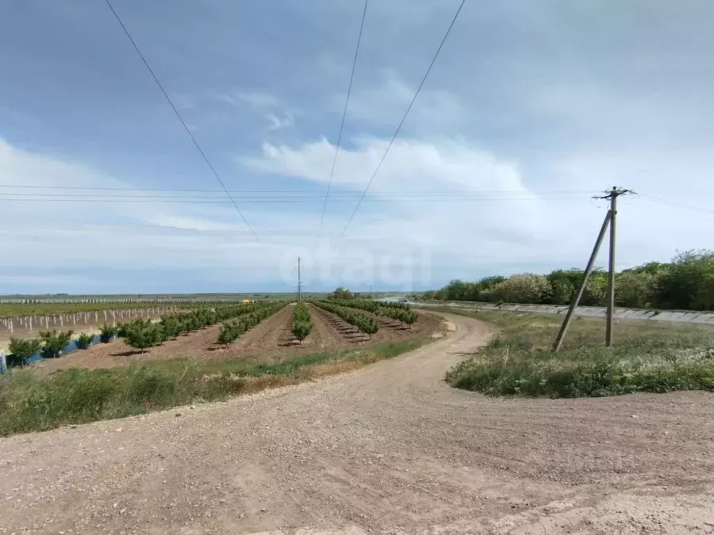 Участок в Крым, Кировский район, Синицынское с/пос, с. Васильковое ул. ... - Фото 0