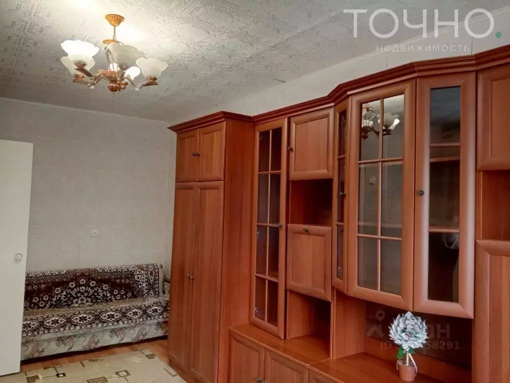 1-к кв. Пензенская область, Пенза Красная ул., 49А (30.1 м) - Фото 1