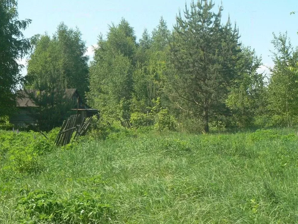 Участок в Владимирская область, Судогодский район, Вяткинское ... - Фото 1