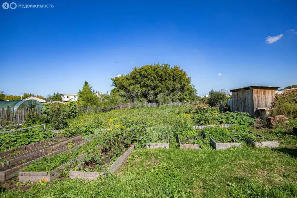 Участок в Искитим, Канатный переулок (8.74 м) - Фото 1