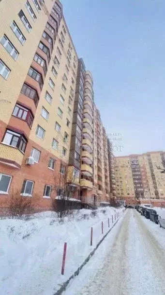 Студия Московская область, Богородский городской округ, д. Щемилово ... - Фото 1