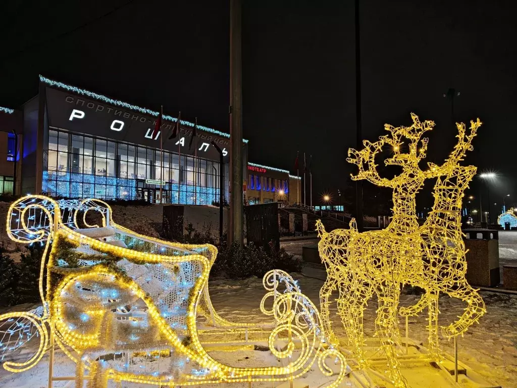 1-к кв. Московская область, Рошаль Советская ул., 51 (30.7 м) - Фото 2