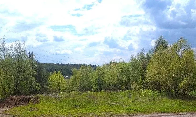 Участок в Московская область, Пушкинский городской округ, Поляны СТ  ... - Фото 1