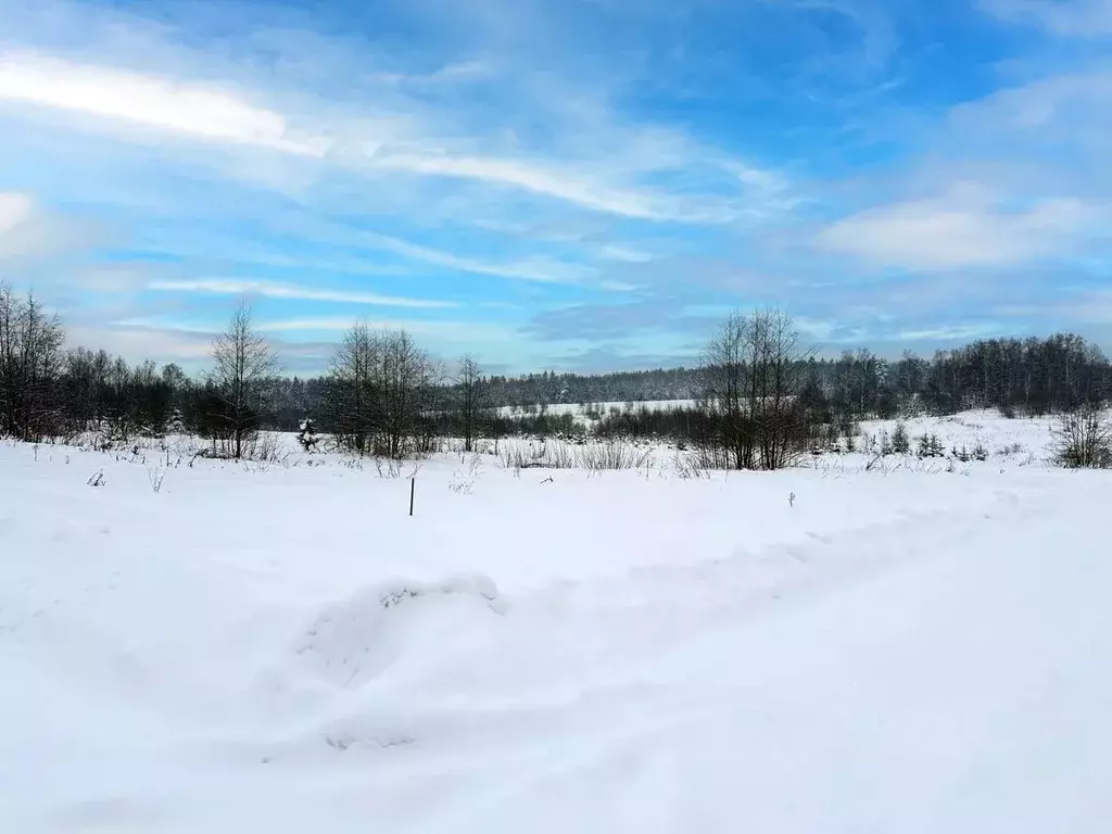 Участок в Московская область, Дмитровский муниципальный округ, ... - Фото 1