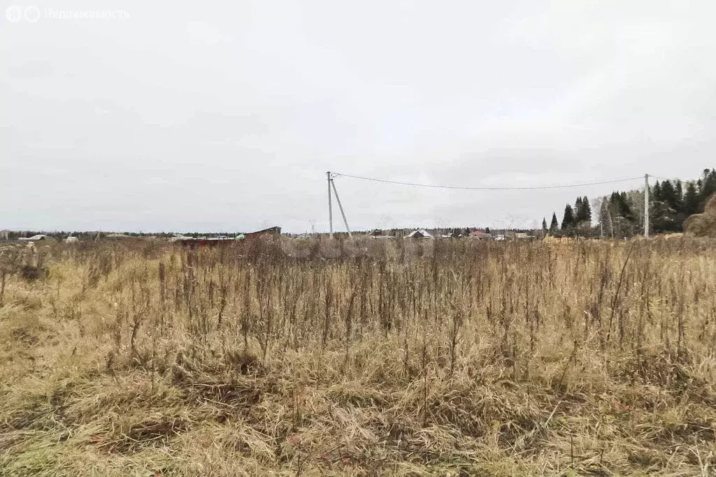 Участок в Тюменская область, Нижнетавдинский муниципальный округ, ... - Фото 1