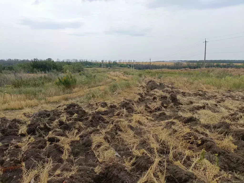 Участок в Ростовская область, Мясниковский район, Краснокрымское ... - Фото 0