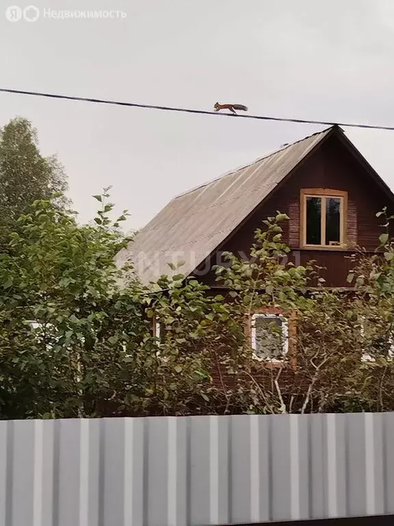 Участок в Морозовское городское поселение, СНТ Автомобилист (12.46 м) - Фото 1