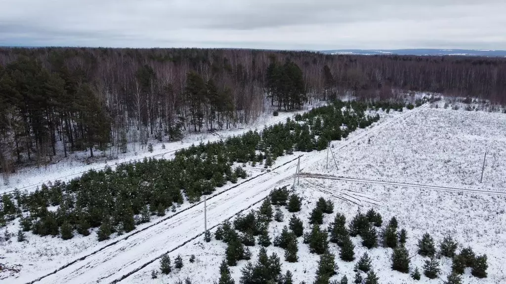 Участок в Московская область, Клин городской округ, д. Новощапово  ... - Фото 0