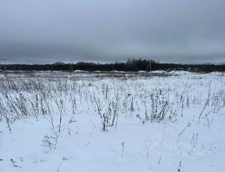 Участок в Московская область, Раменский городской округ, д. Апариха  ... - Фото 1