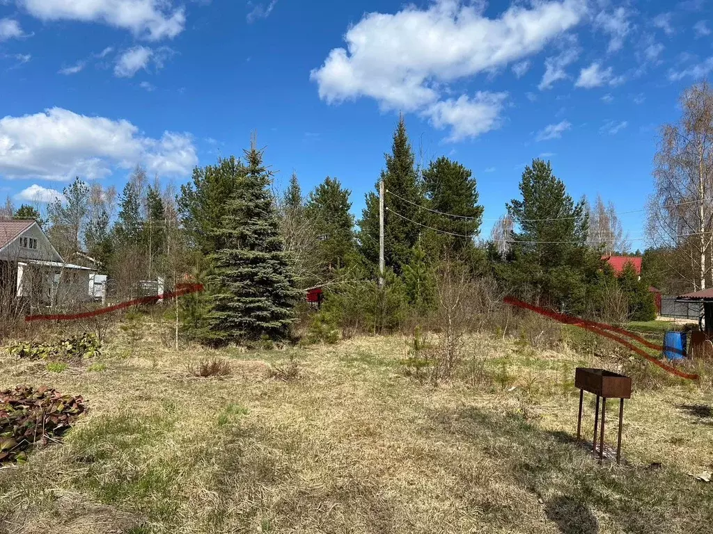 Участок в Ленинградская область, Приозерский район, Раздольевское ... - Фото 2
