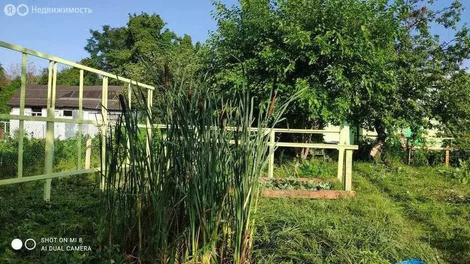 Дом в Воронеж, СНТ Память Мичурина, улица Мичурина, 8 (36 м) - Фото 2