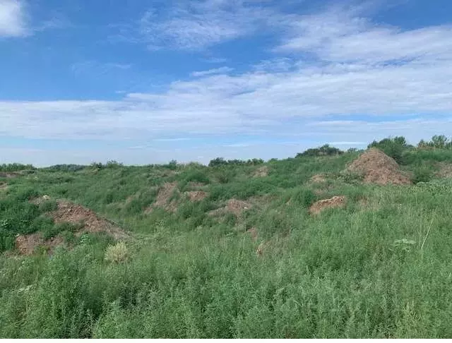 Производственное помещение в Самарская область, Волжский район, ... - Фото 1