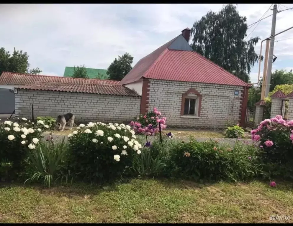 Дом в Липецкая область, Данков Сторожевская ул., 81 (56 м) - Фото 2