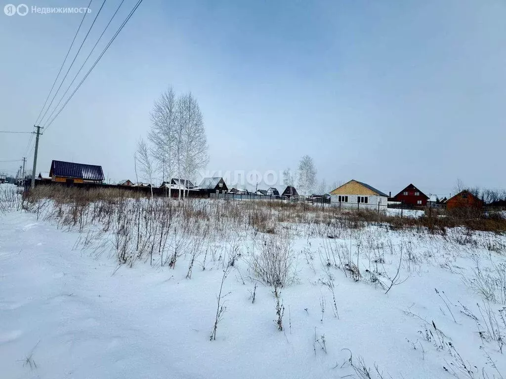 Участок в Толмачёвский сельсовет, СНТ Рябинка Обская (6 м) - Фото 1