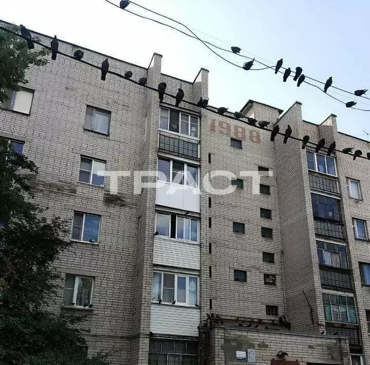 1-комнатная квартира: Воронеж, улица Антокольского, 10 (36.2 м) - Фото 0