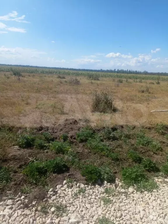 Участок 6 сот. (ИЖС) - Фото 0