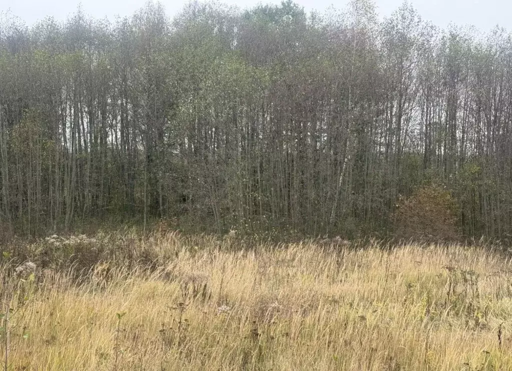 Участок в Московская область, Серпухов городской округ, Воскресенки-1 ... - Фото 0