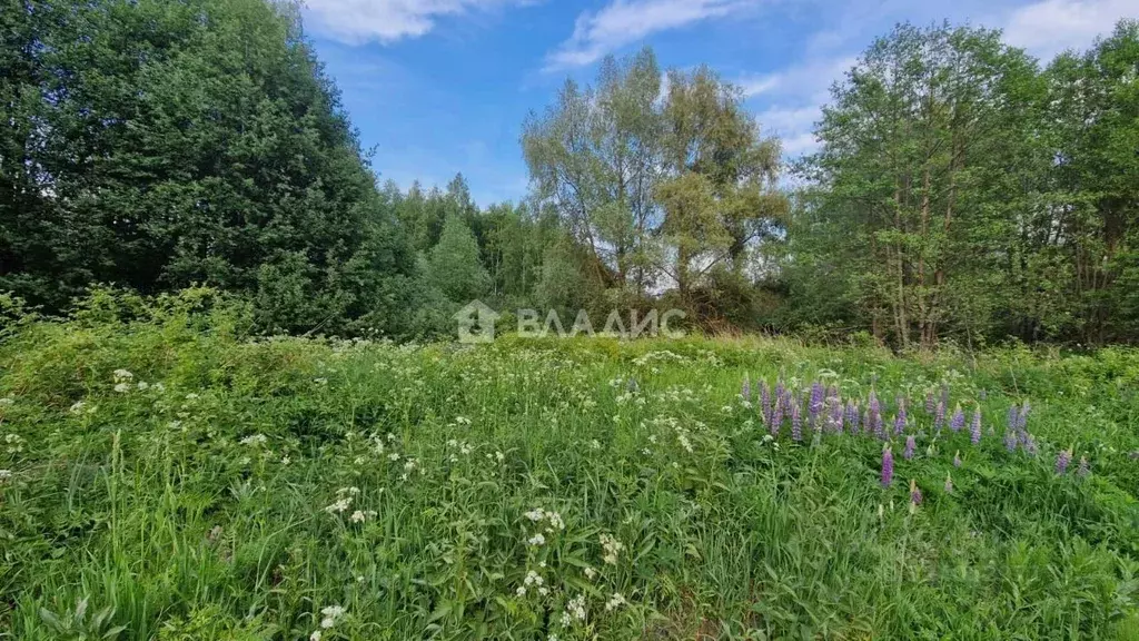 Участок в Владимирская область, Суздальский район, Селецкое ... - Фото 2