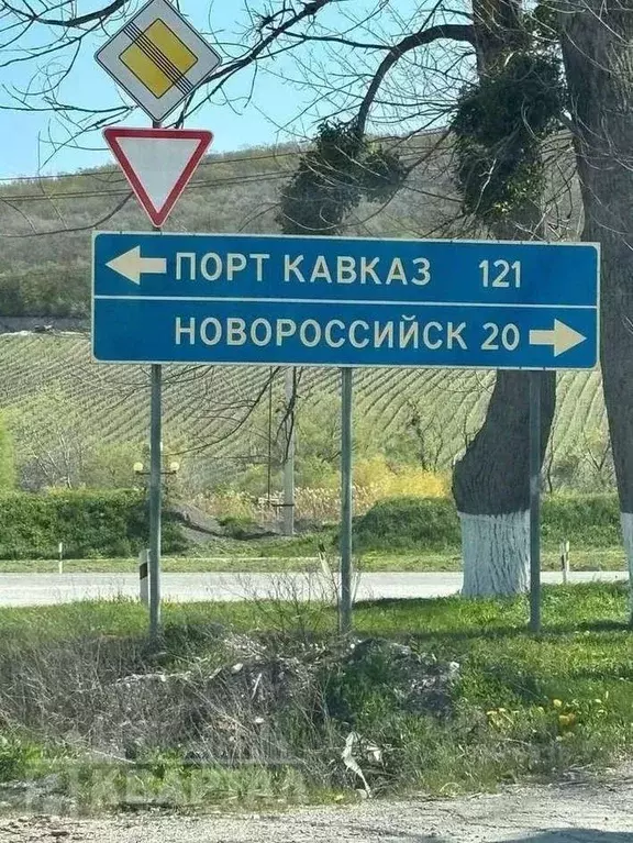 Участок в Краснодарский край, Новороссийск городской округ, ... - Фото 0