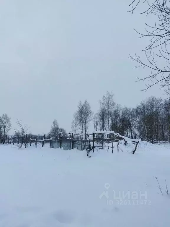 Участок в Московская область, Раменский муниципальный округ, с. ... - Фото 2