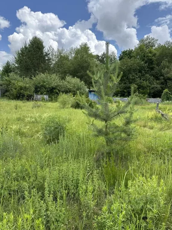 Участок в Пензенская область, Пензенский район, Засечный сельсовет, ... - Фото 2