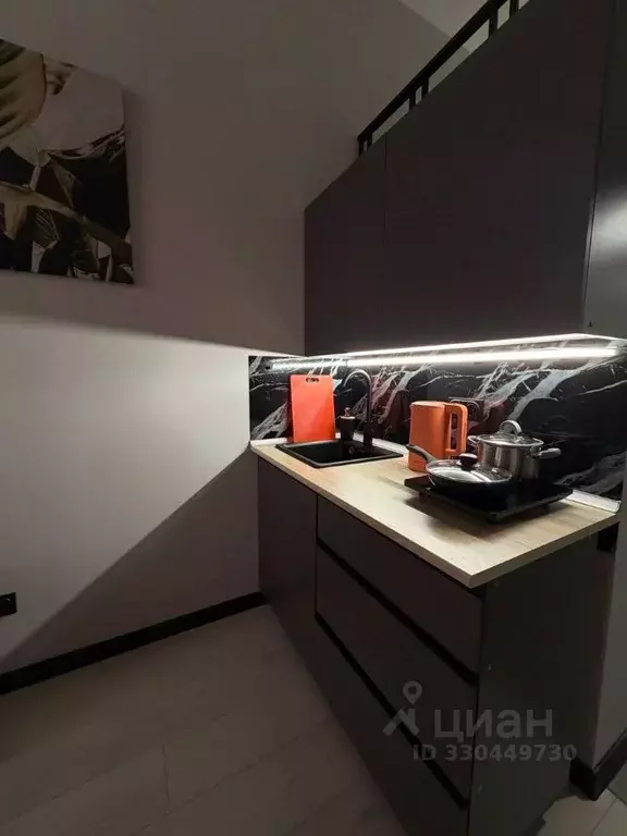 Студия Санкт-Петербург ул. Воскова, 26 (12.0 м) - Фото 2