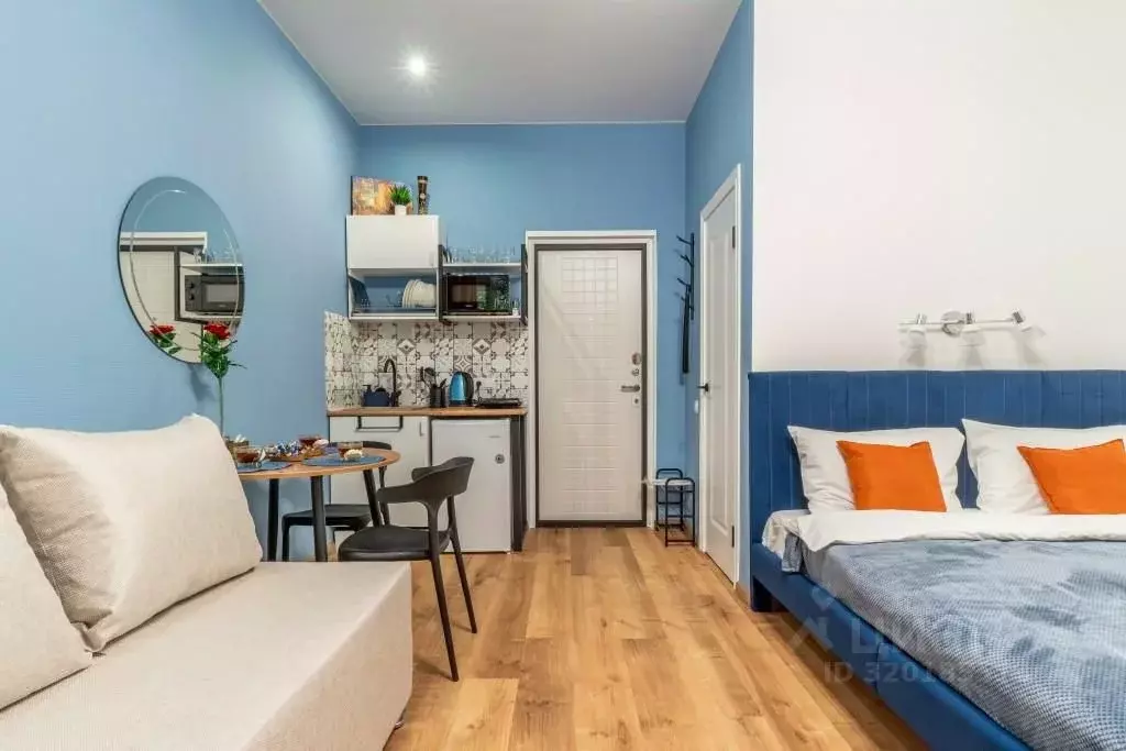 1-к кв. Санкт-Петербург пер. Апраксин, 17 (20.0 м) - Фото 1