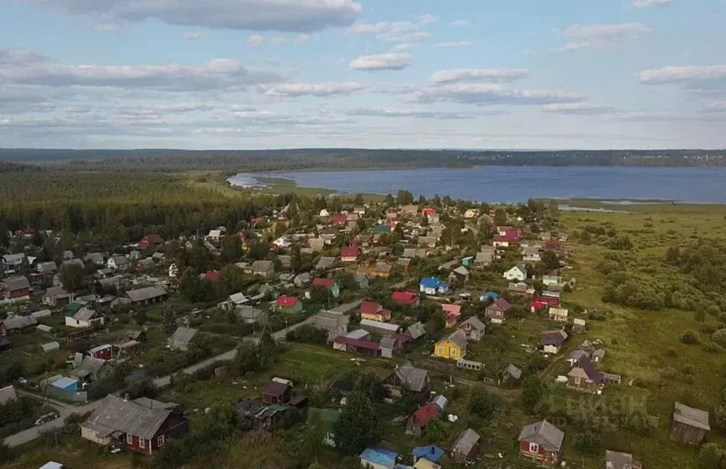 Участок в Карелия, Пряжинский район, Чалнинское с/пос, Падозерское СНТ ... - Фото 1