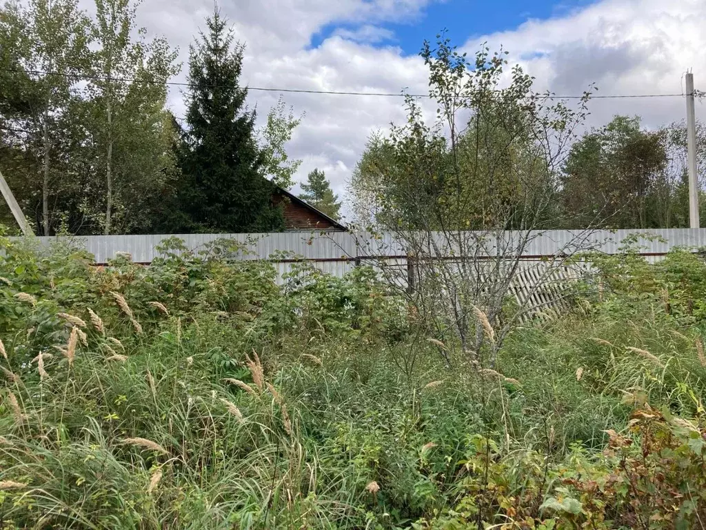 Участок в Московская область, Орехово-Зуевский городской округ, ... - Фото 0