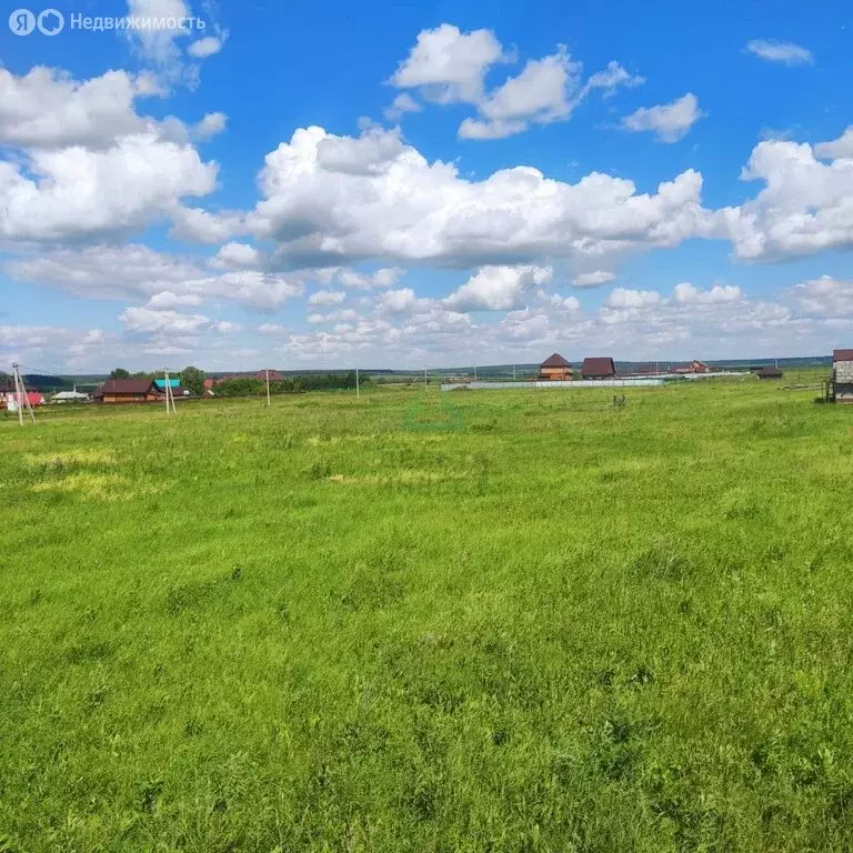 Участок в Чишминский район, Алкинский сельсовет, село Салихово, ... - Фото 0