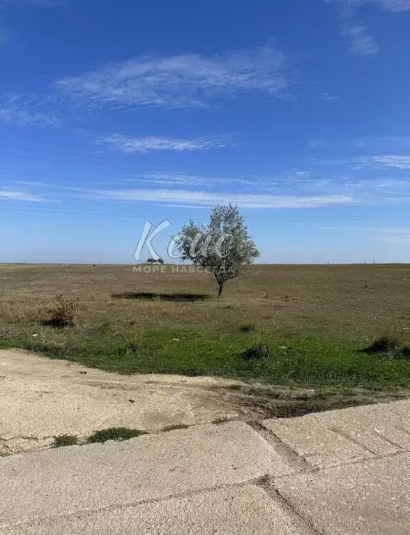 Участок в Крым, Феодосия муниципальный округ, с. Береговое ул. Речная, ... - Фото 1