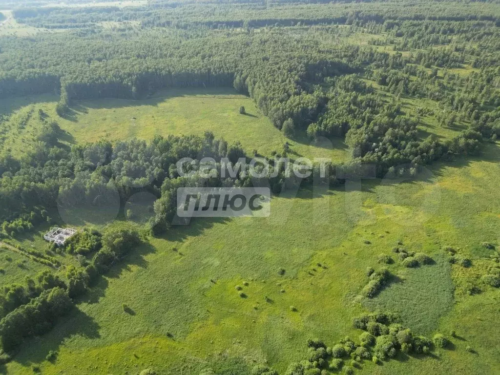 Участок 10,7 сот. (ИЖС) - Фото 1