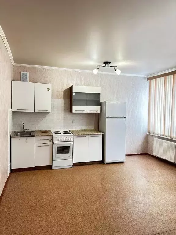 Студия Калужская область, Боровский муниципальный округ, д. Кабицыно, ... - Фото 1