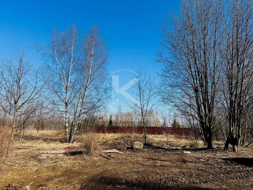 Участок, 6 сот., сельхоз (снт или днп) - Фото 1