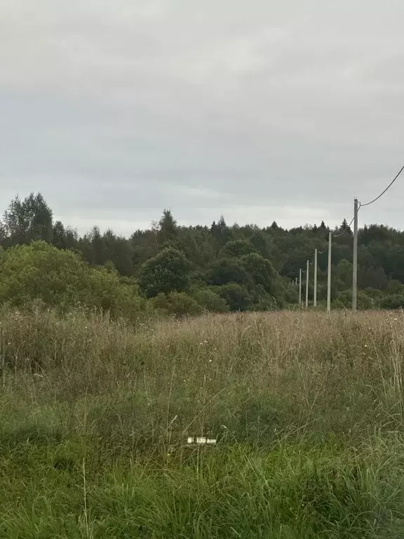 Участок в Московская область, Сергиево-Посадский городской округ, ... - Фото 1