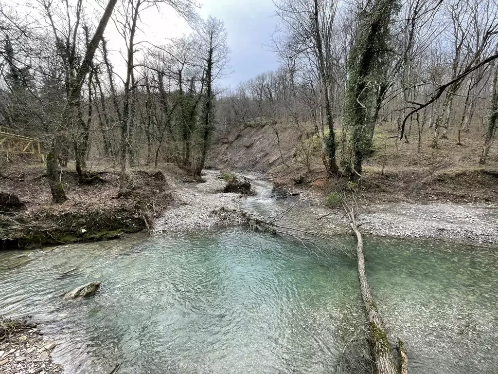 Дом в Краснодарский край, муниципальное образование Геленджик, село ... - Фото 0