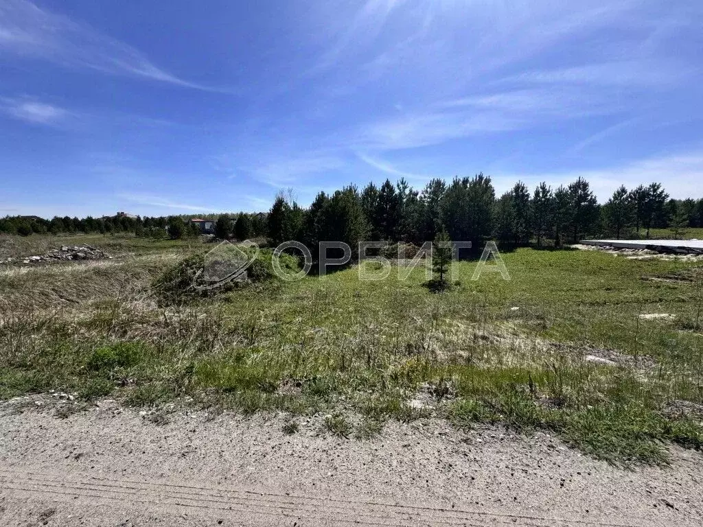 Участок в Тюменская область, Тюменский район, Новокаменский кп  (11.5 ... - Фото 1