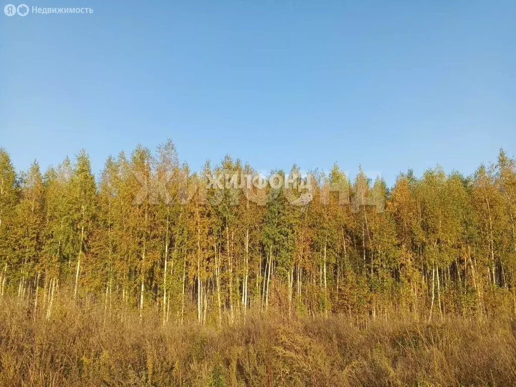 Участок в Новолуговской сельсовет, СНТ Лада-2, Мостовая улица (9 м) - Фото 0