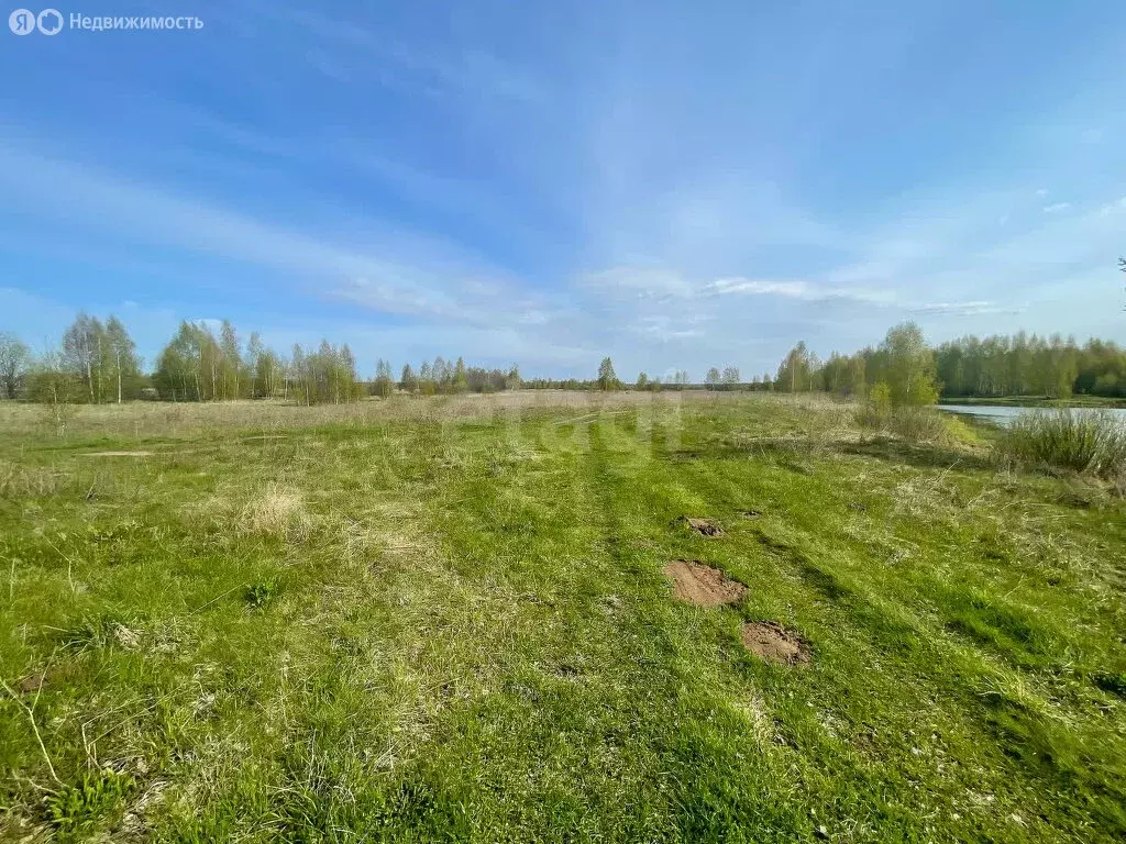 Участок в Ярославская область, Некрасовский муниципальный округ, ... - Фото 1