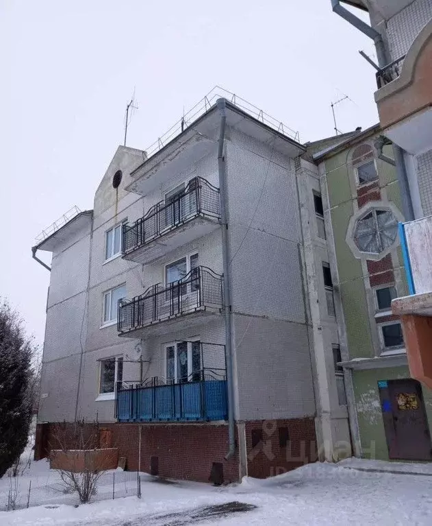 2-к кв. Омская область, с. Азово ул. Российская, 39 (91.0 м) - Фото 0