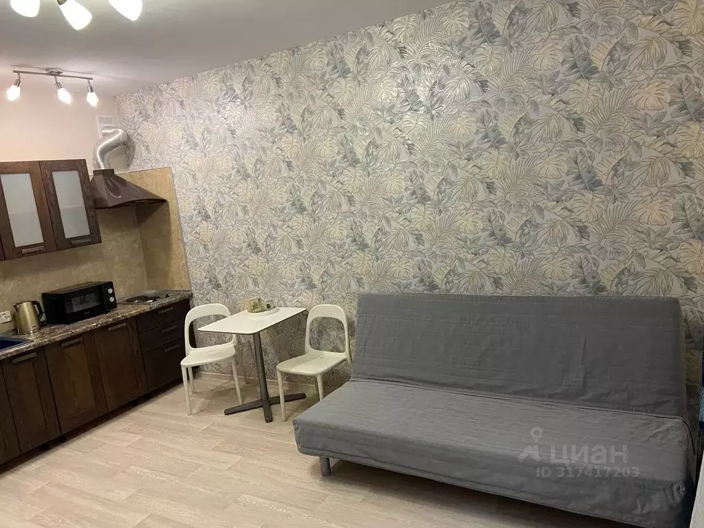 Студия Ленинградская область, Всеволожский район, д. Новое Девяткино ... - Фото 0