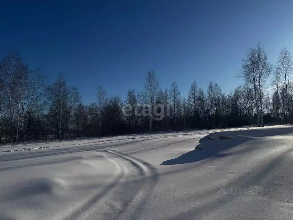 Участок в Новосибирская область, Искитимский район, Мичуринский ... - Фото 0