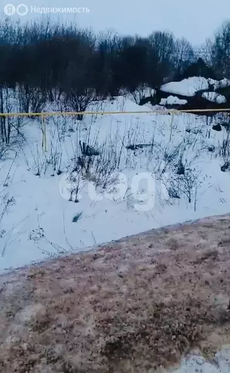 Участок в Щёкинский район, муниципальное образование Огарёвское, село ... - Фото 1