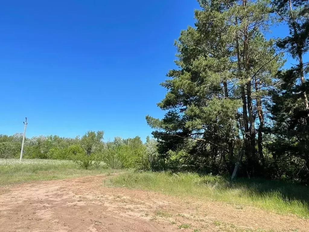 Участок в Саратовская область, Маркс  (6.0 сот.) - Фото 1