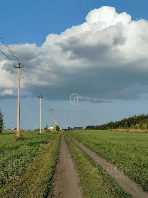 Участок в Тамбовская область, Тамбовский муниципальный округ, пос. ... - Фото 1
