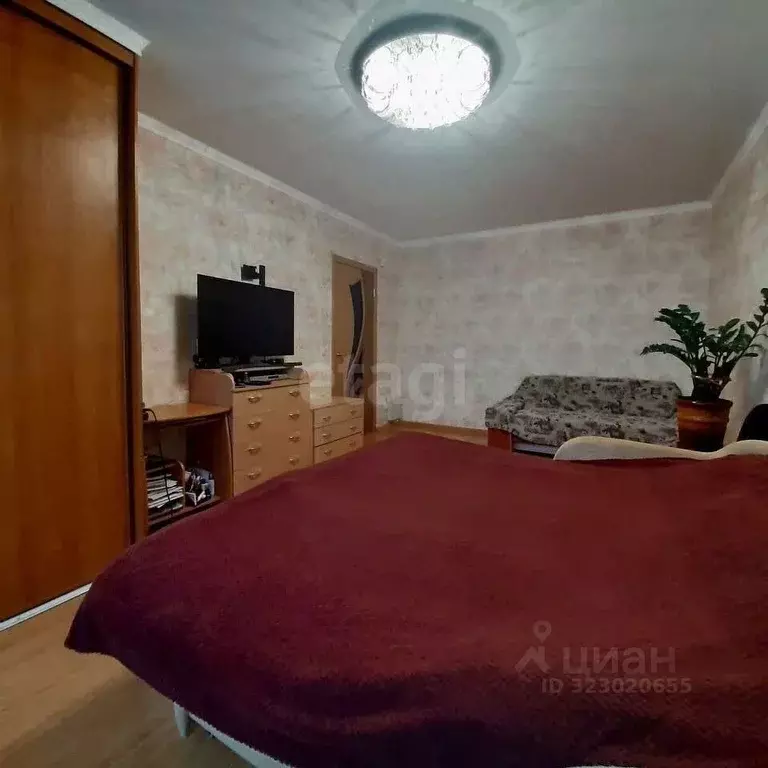 1-к кв. Тверская область, Тверь Дружинная ул., 14 (30.0 м) - Фото 2