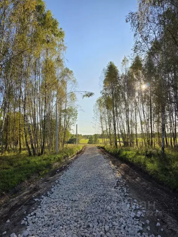 Участок в Тульская область, Заокский район, Страховское с/пос, ... - Фото 1